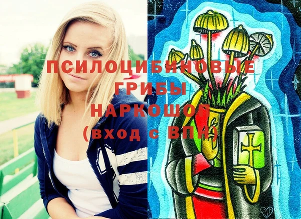 гашик Михайловск