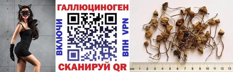 наркошоп  blacksprut ССЫЛКА  Галлюциногенные грибы мицелий  Череповец 