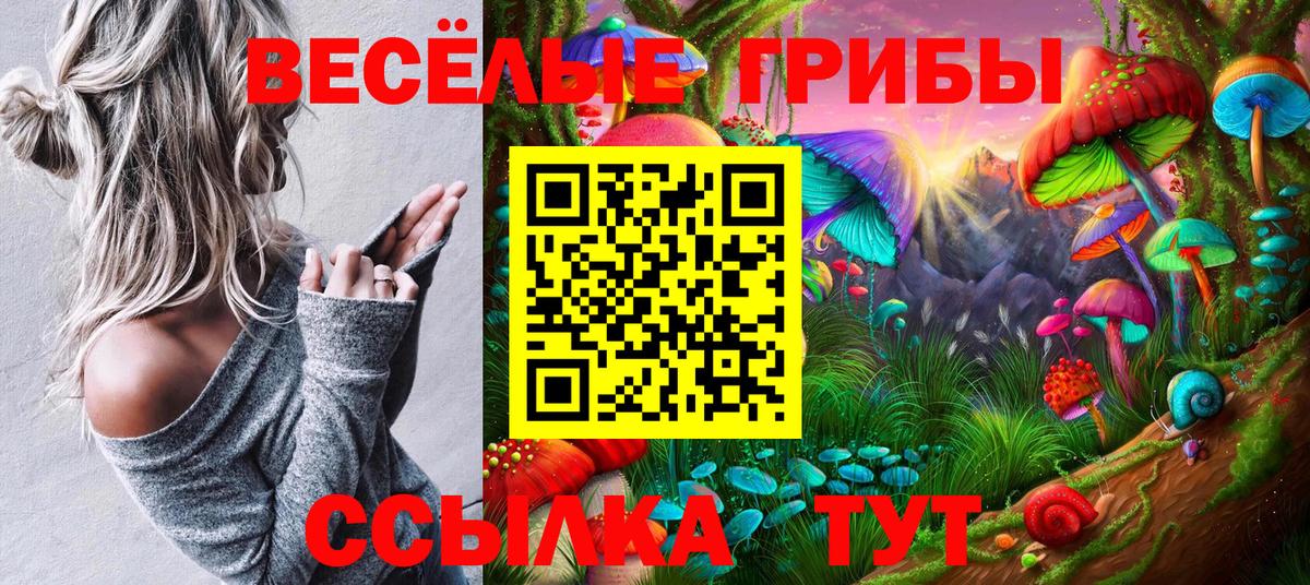 Череповец  Псилоцибиновые грибы GOLDEN TEACHER  Псилоцибиновые грибы Cubensis  Вход с VPN 